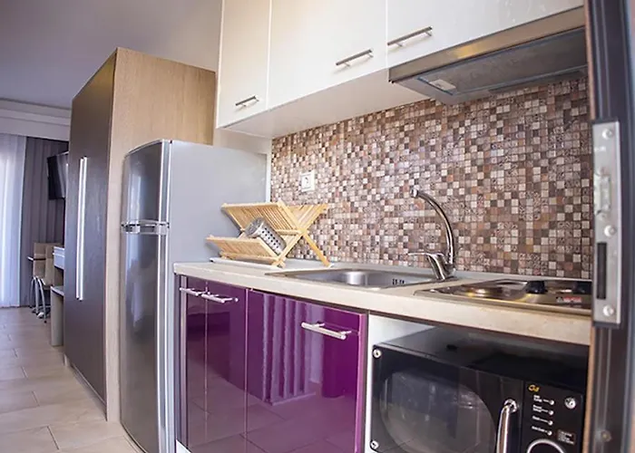 Dafni's Seaside Luxury 公寓式酒店 尼基季